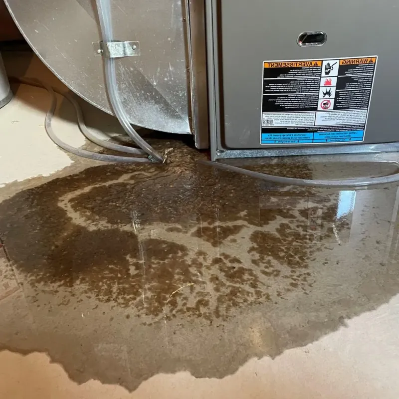 Pipe Burst and Leak Restoration in Santa Teresa, NM